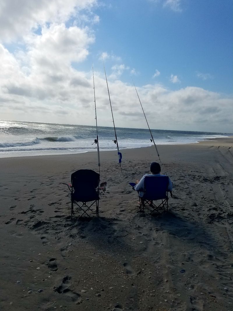 Reeling In the Catch of the Day Reeling In the Catch of the Day