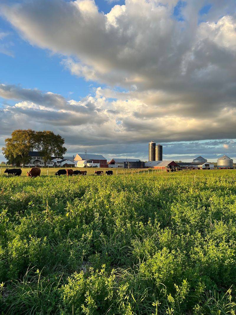 Regenerative Farming At The Center Regenerative Farming At The Center