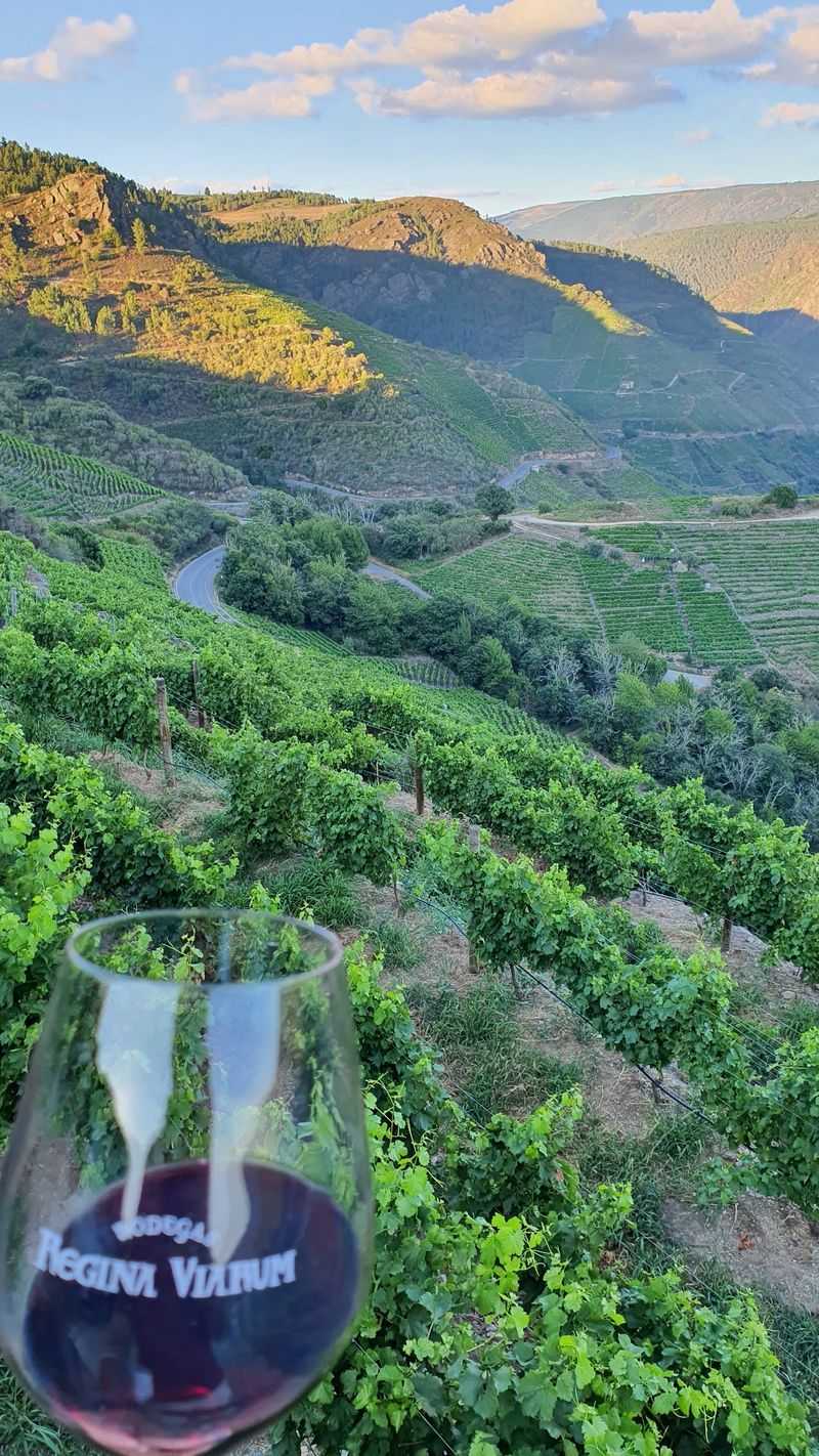 Regina Viarum, Ribeira Sacra Regina Viarum, Ribeira Sacra