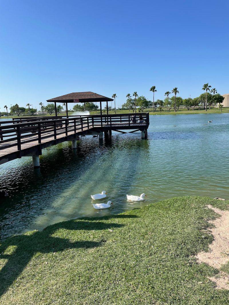 Resacas and Ponds That Attract Waterfowl Year-Round Resacas and Ponds That Attract Waterfowl Year-Round