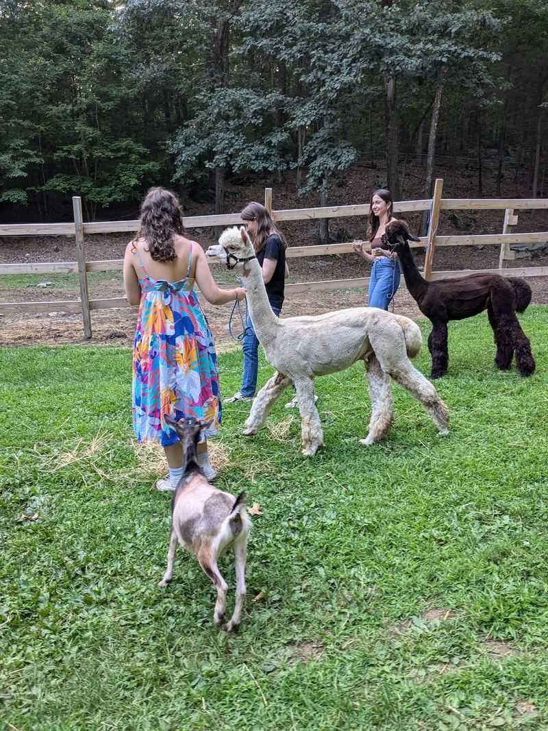 Rescued Animals Living Their Best Life Rescued Animals Living Their Best Life