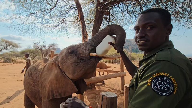 Reteti Elephant Sanctuary, Namunyak Community Conservancy, Samburu County, Kenya Reteti Elephant Sanctuary, Namunyak Community Conservancy, Samburu County, Kenya