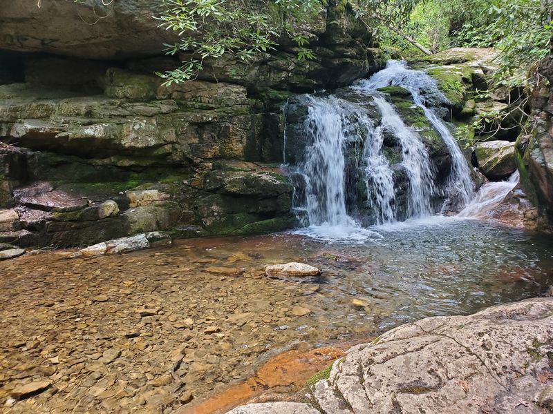 Rhododendron and Rushing Creek Views