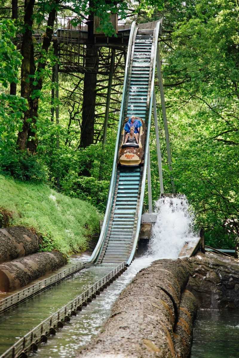 Rides Worth Riding: From Log Flumes to Bobsleds