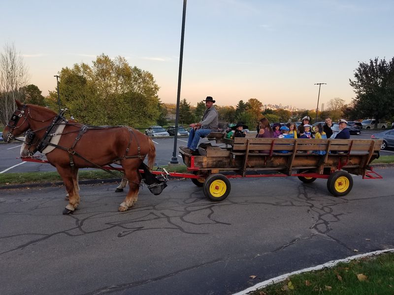 Rides for Every Kind of Gathering Rides for Every Kind of Gathering