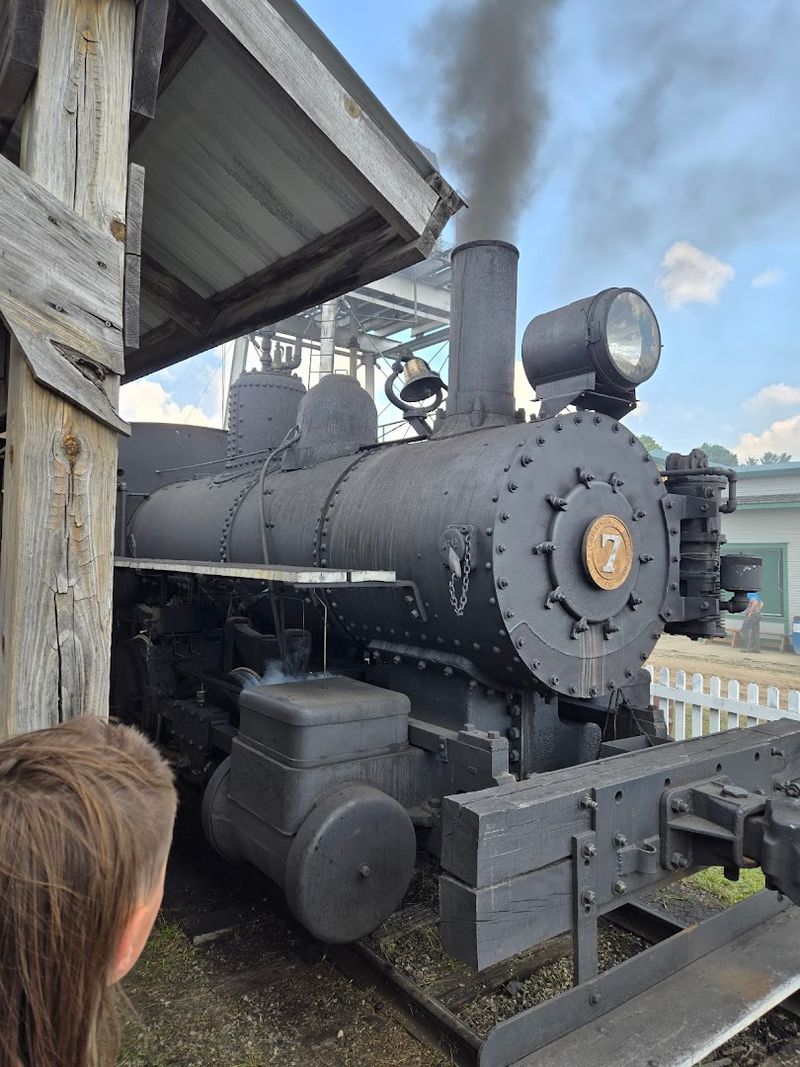 Riding the Rails: Two Working Steam Trains on Site