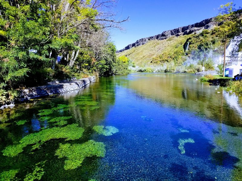 Ritter Island - Thousand Springs State Park, Wendell, Idaho