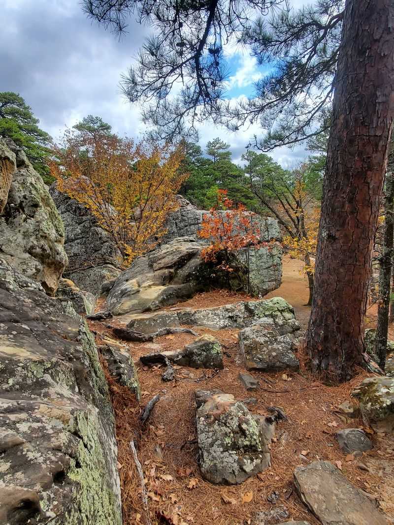 Robbers Cave State Park Drive