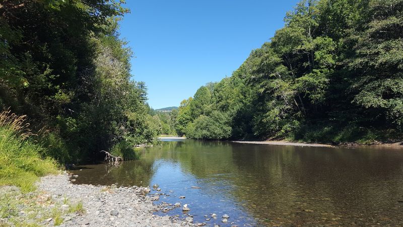 Rock Collecting Along Scenic Riverbanks Rock Collecting Along Scenic Riverbanks