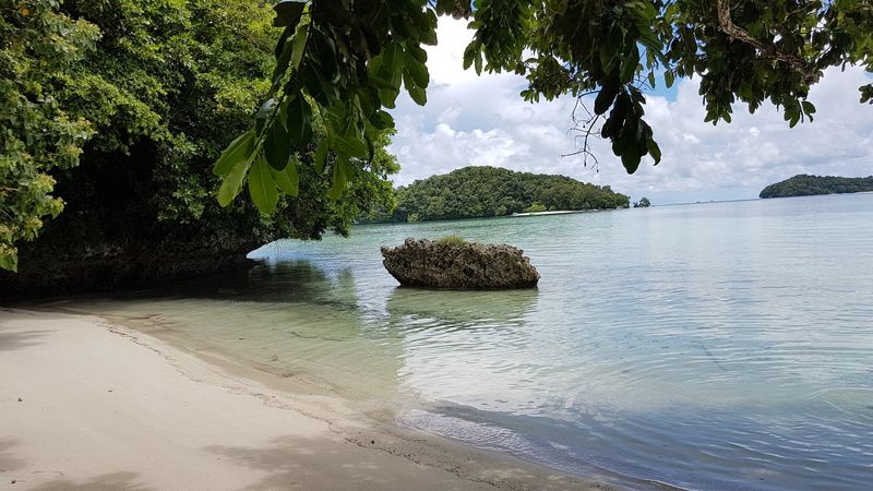 Rock Islands Southern Lagoon, Palau