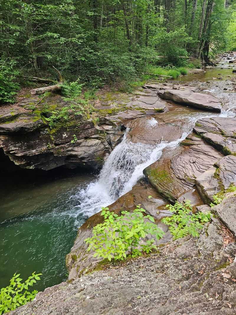 Rock Run Valley and the Clearest Water in the Forest Rock Run Valley and the Clearest Water in the Forest