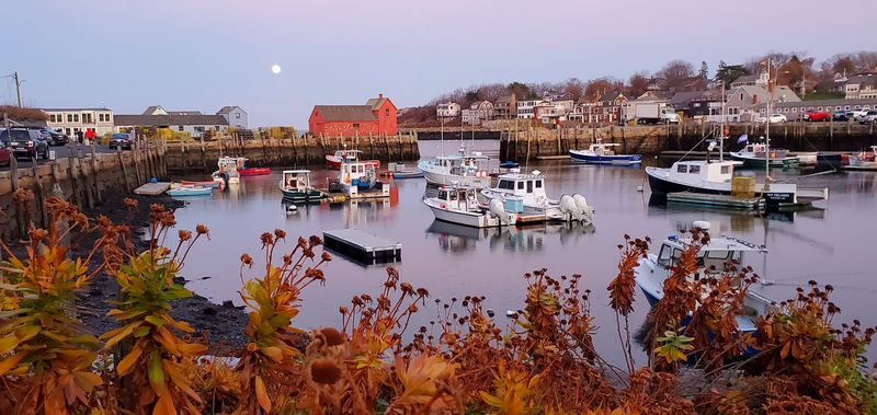 Rockport Rockport