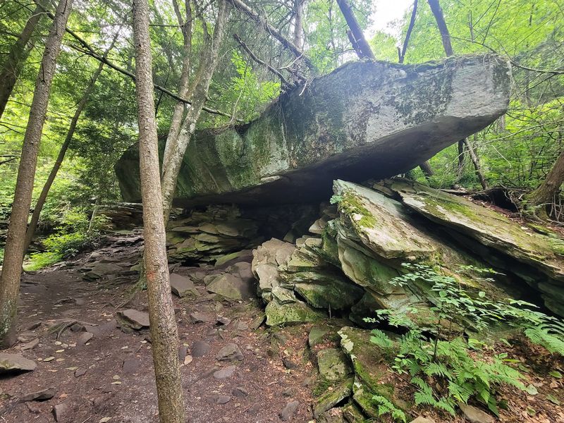 Rocks, Roots, and Footwear That Matters