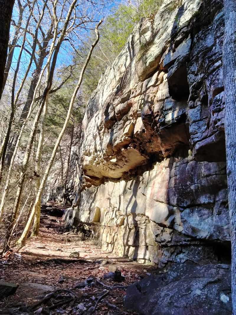 Rocks, Roots, and Real Terrain Rocks, Roots, and Real Terrain