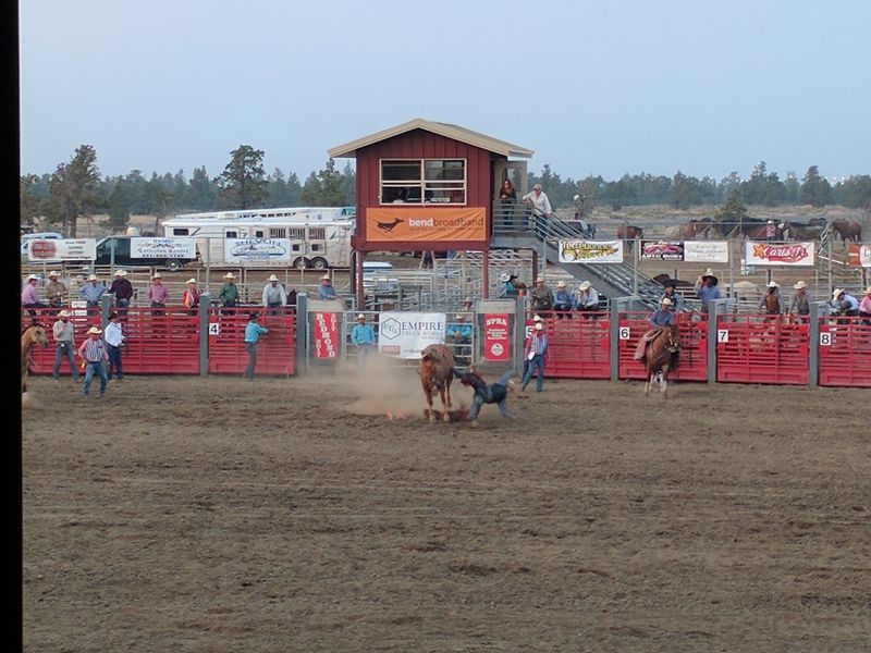 Rodeo Nights Under the Oregon Sky