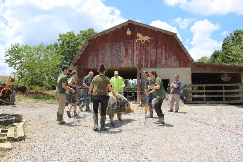 Rolling Up Your Sleeves as a Volunteer