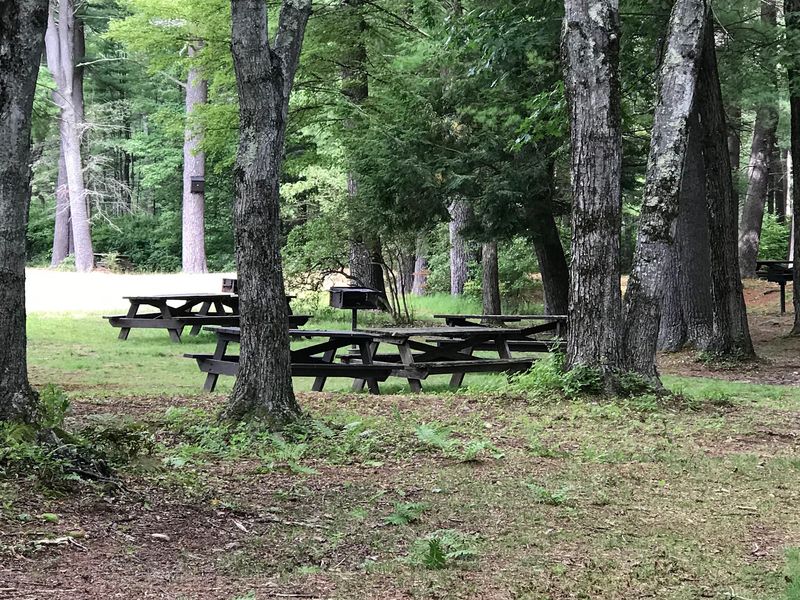 Room to Picnic, Grill, and Unwind Room to Picnic, Grill, and Unwind