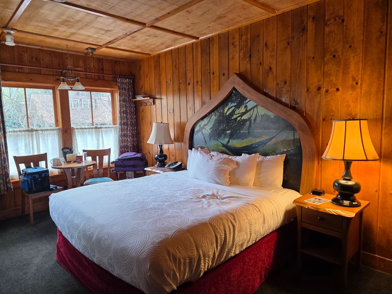 Rooms That Swap Textbooks for Vintage Charm