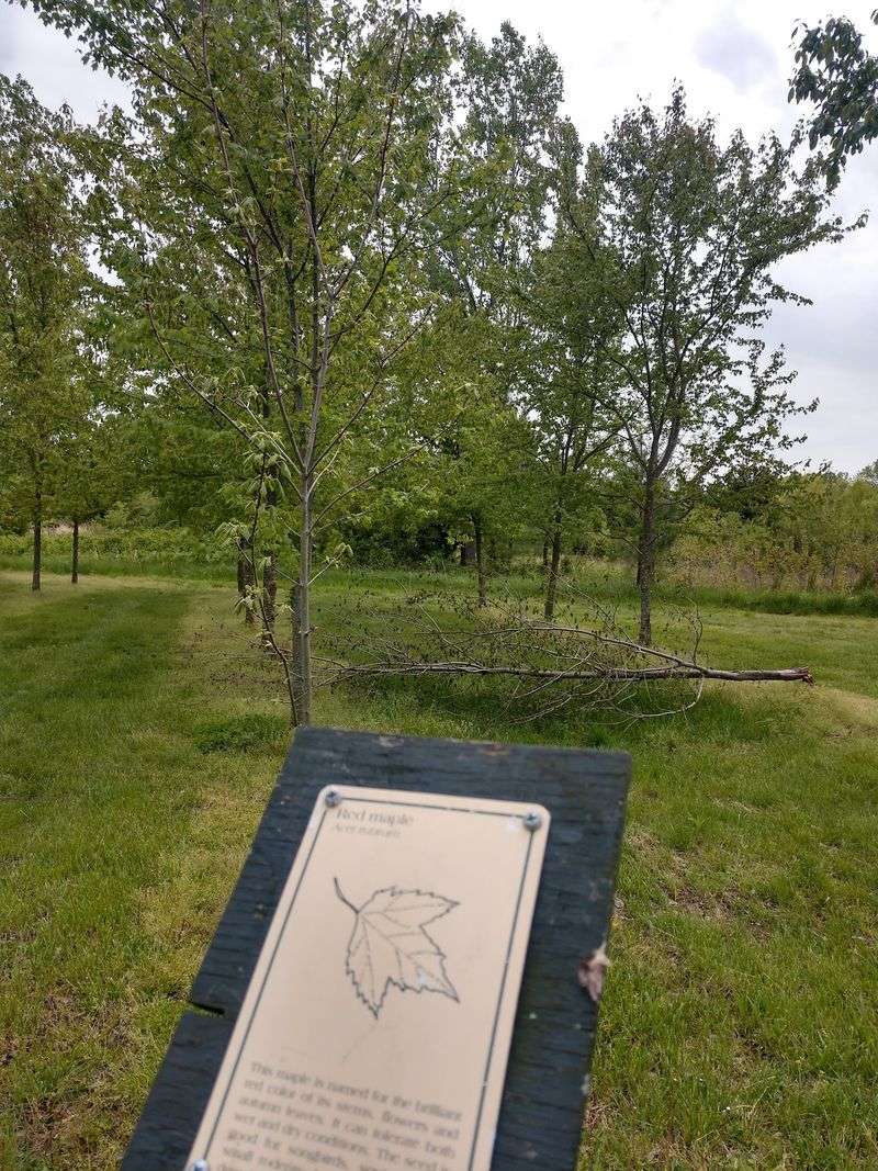 Roots and Restoration: The Reserve's Native Plant Mission Roots and Restoration: The Reserve's Native Plant Mission