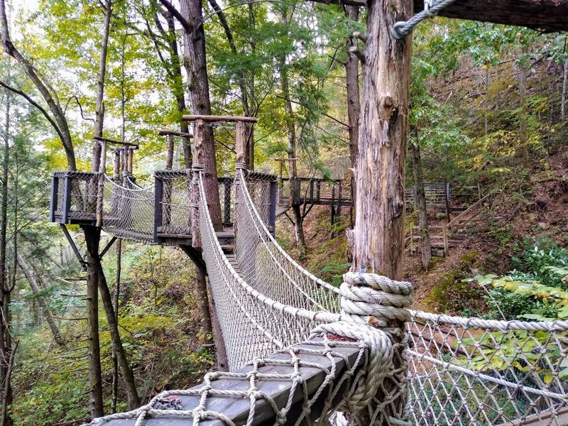 Ropes Courses and Rock Climbing for the Bold Ropes Courses and Rock Climbing for the Bold
