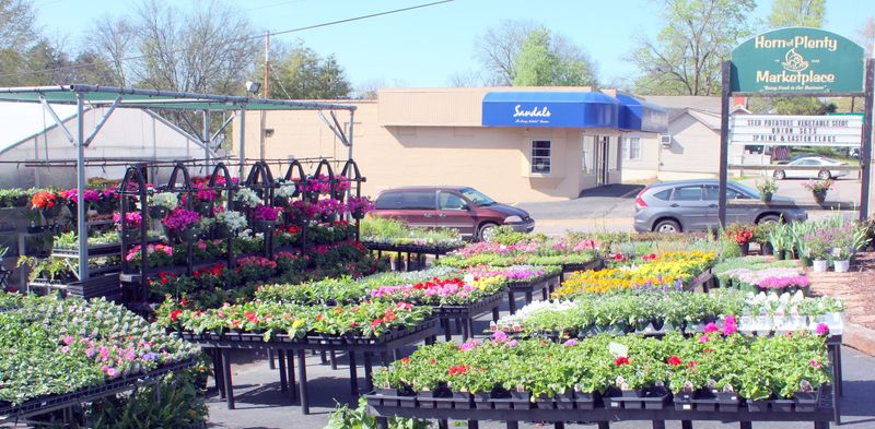 Rows of Tennessee-Grown Plants and Flowers Rows of Tennessee-Grown Plants and Flowers