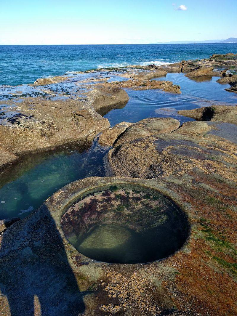 Royal National Park, New South Wales