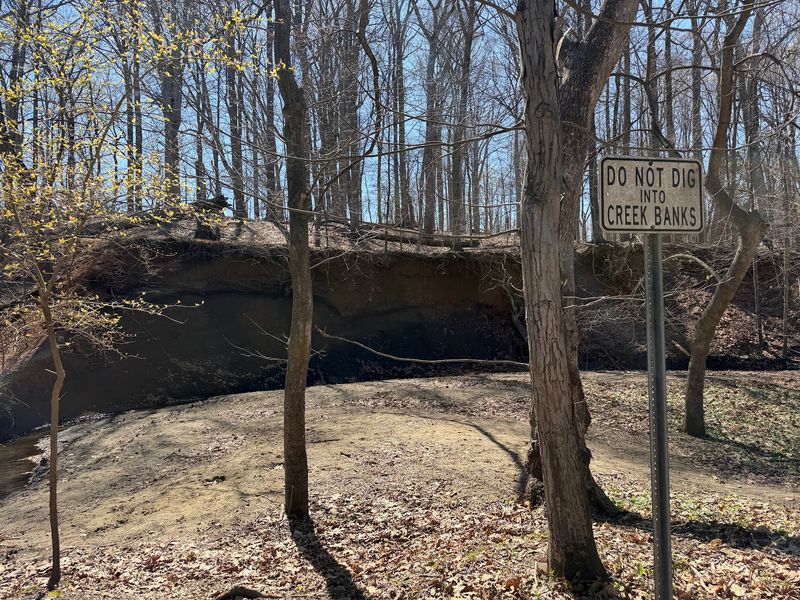 Rules That Keep The Fossils Findable Rules That Keep The Fossils Findable