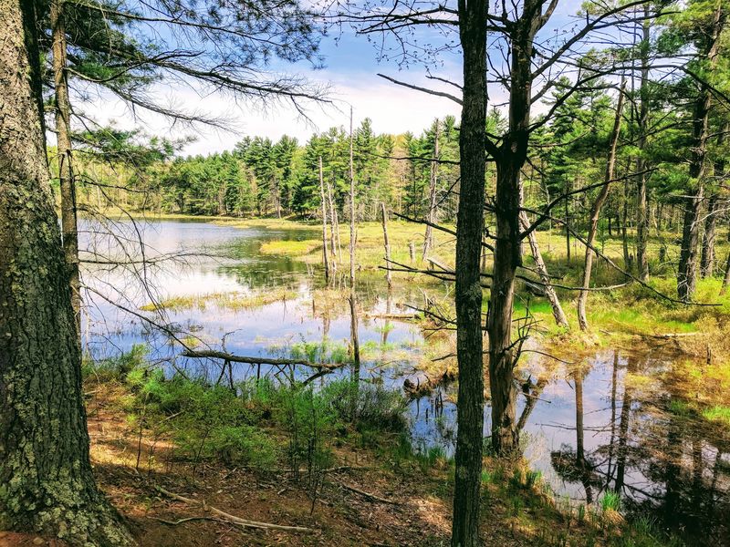 Rutland State Park, Rutland Rutland State Park, Rutland