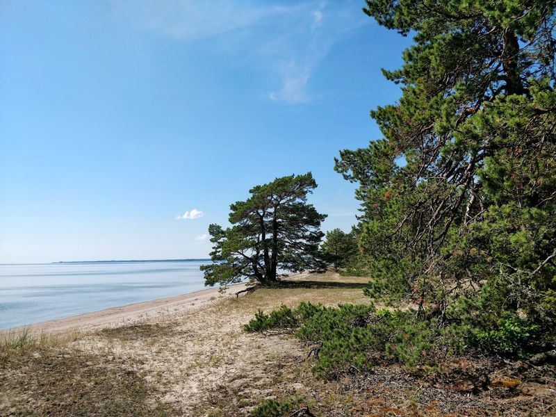 Saaremaa, Estonia Saaremaa, Estonia