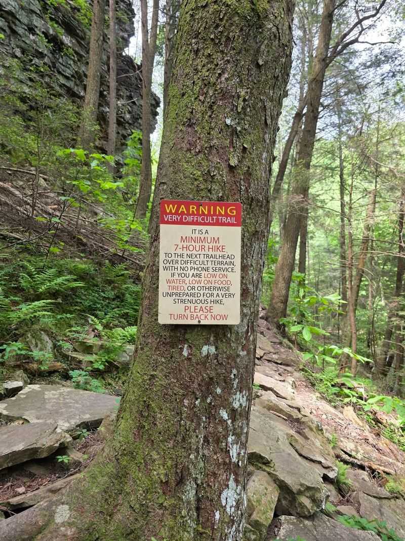 Safety Notes for a Rugged Gorge