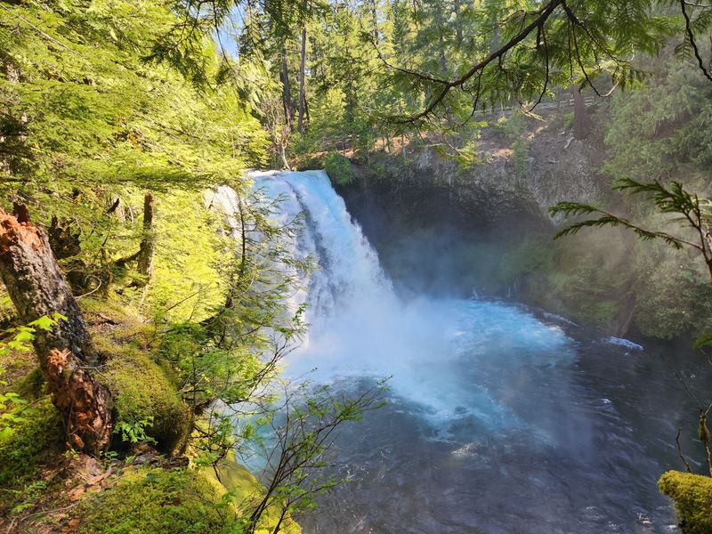 Sahalie Falls: The Crown of the McKenzie River