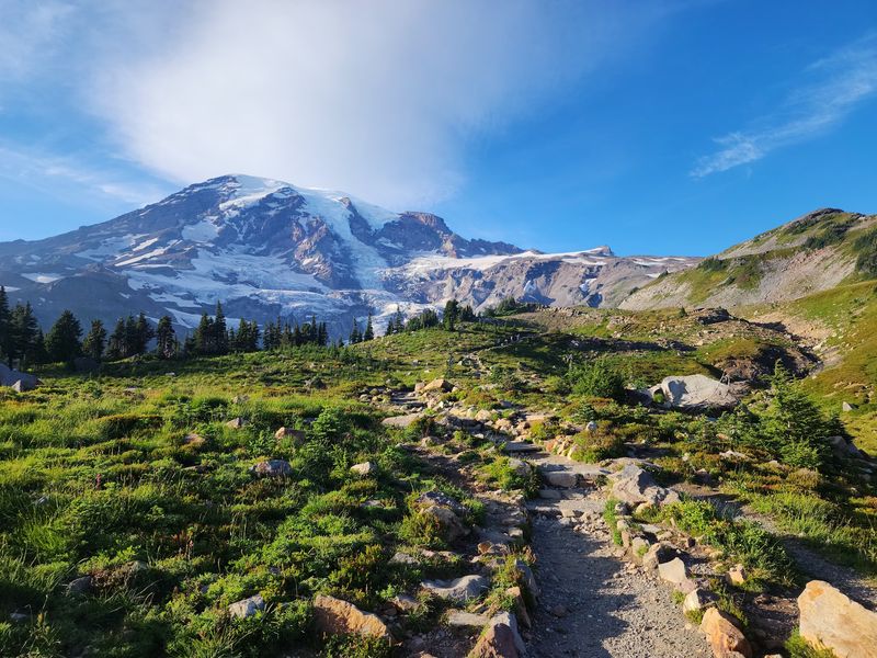 Sam Bharat Dubal in Mount Rainier National Park Sam Bharat Dubal in Mount Rainier National Park