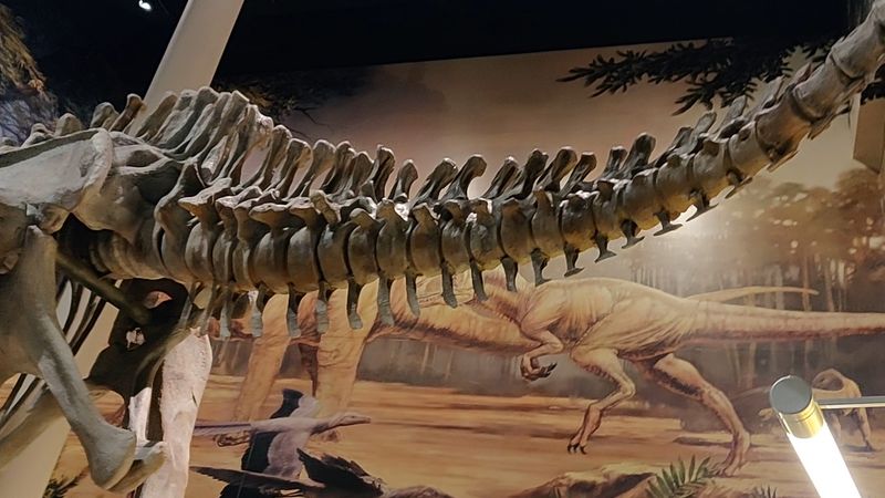 Sam Noble Oklahoma Museum of Natural History, Norman, Oklahoma