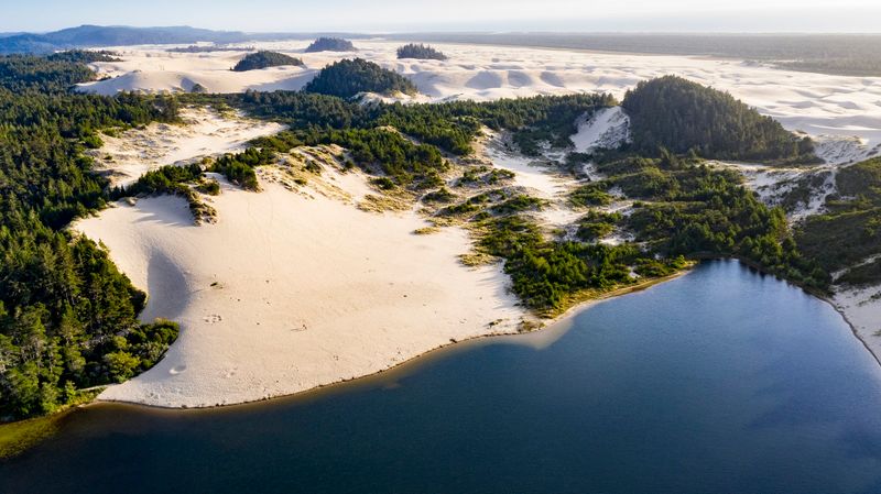 Sand Dunes That Demand Your Attention Sand Dunes That Demand Your Attention