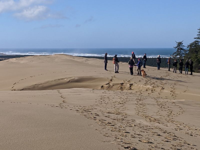 Sandboarding: The Slope-Side Thrill Without the Snow