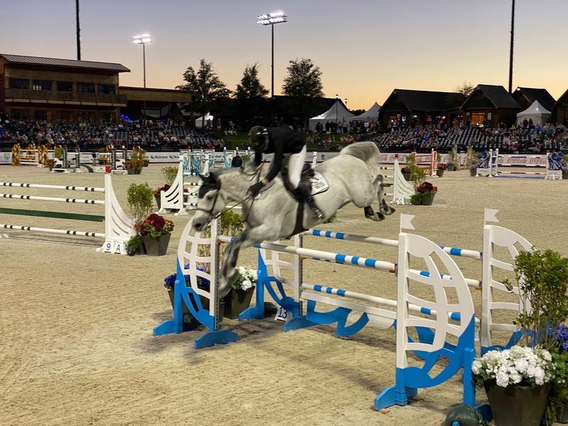 Saturday Night Lights and the Thrill of Show Jumping Saturday Night Lights and the Thrill of Show Jumping