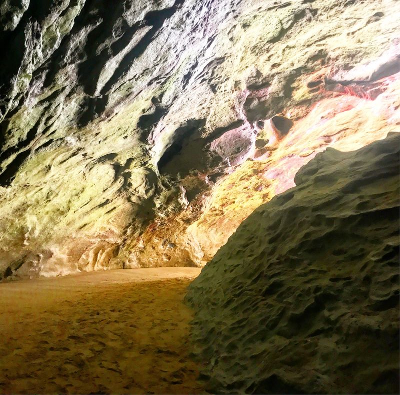 Sea Caves Along the Basalt Headland