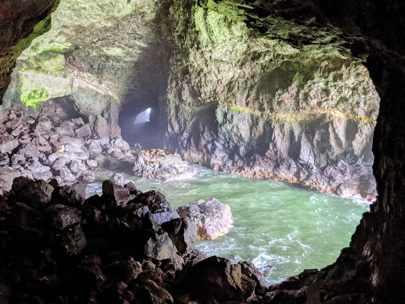 Sea Lion Caves - Near Florence Sea Lion Caves - Near Florence