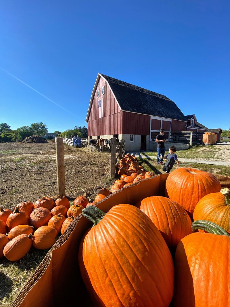 Seasonal Activities Transform Throughout the Year