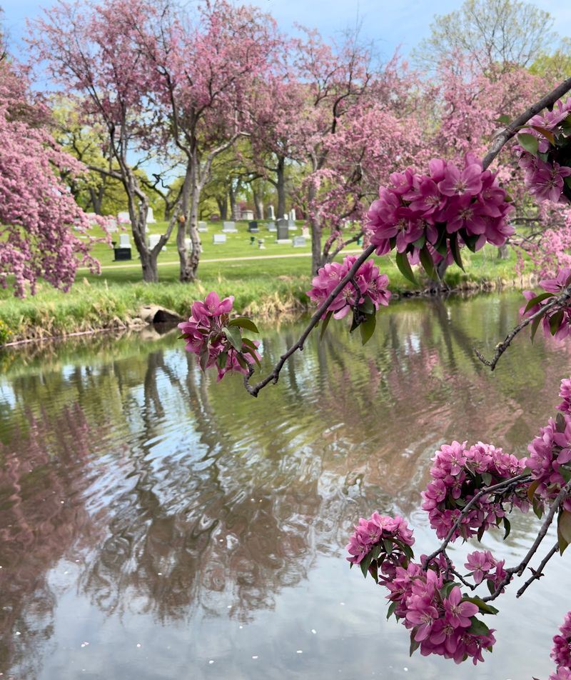 Seasonal Beauty That Changes With Every Visit Seasonal Beauty That Changes With Every Visit