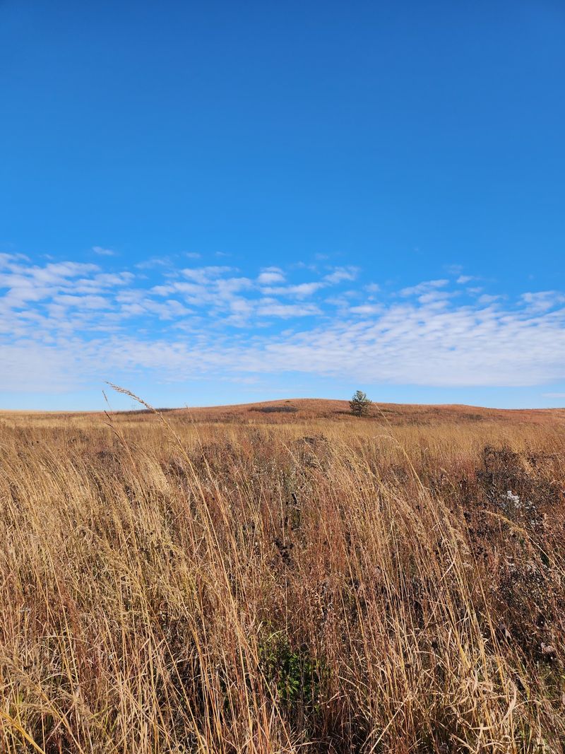 Seasonal Changes Create Year-Round Beauty