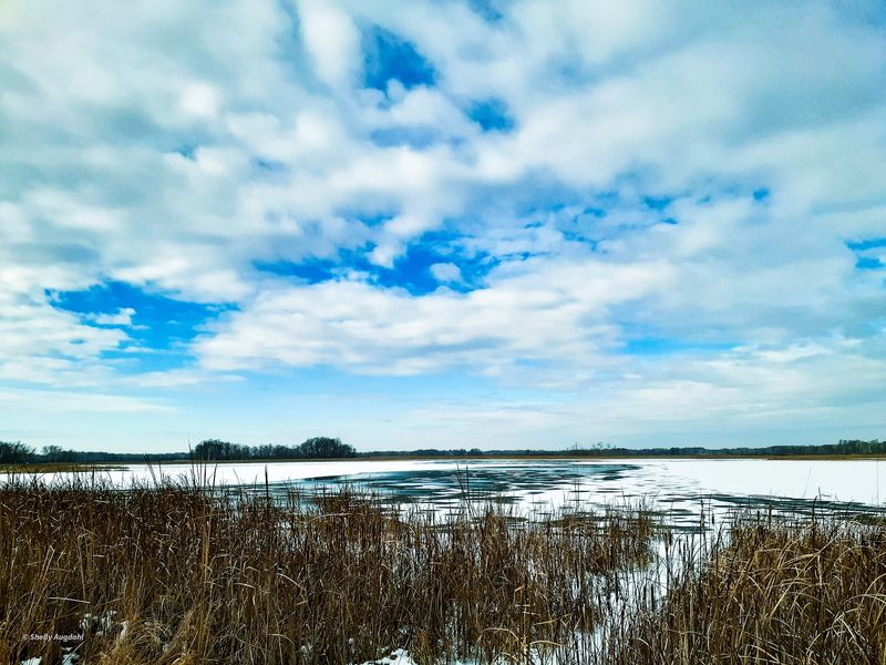 Seasonal Changes That Transform the Landscape Seasonal Changes That Transform the Landscape