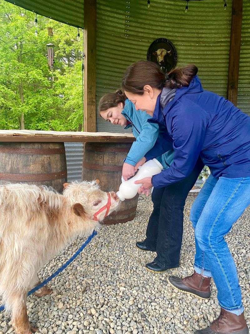 Seasonal Events With Farm-Day Variety Seasonal Events With Farm-Day Variety