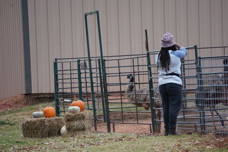 Seasonal Events and Halloween Visits