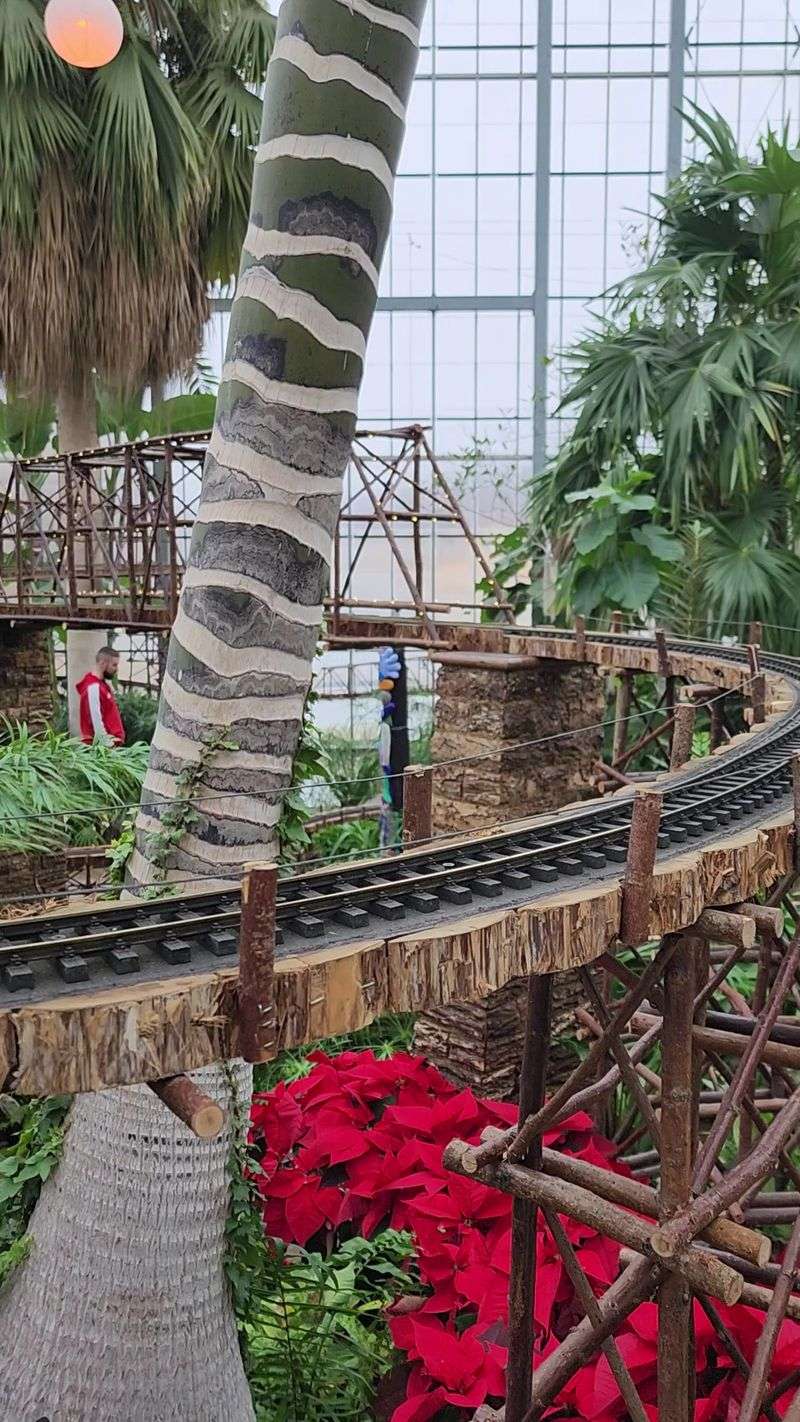 Seasonal Events and Special Exhibits That Keep Things Fresh
