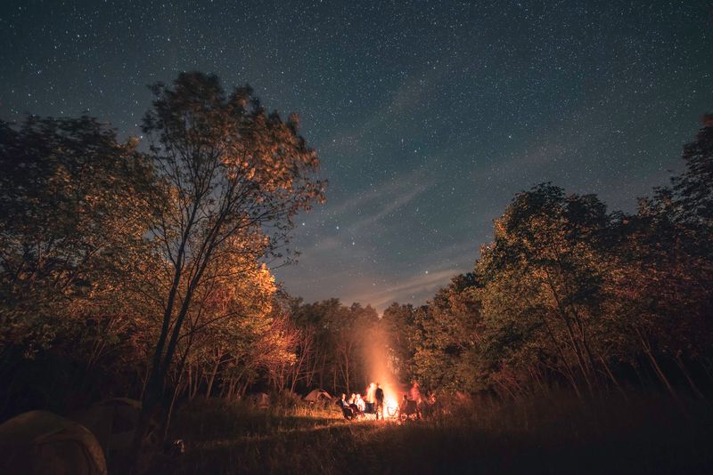 Seasonal Events and the Famous Haunted Hollow Seasonal Events and the Famous Haunted Hollow