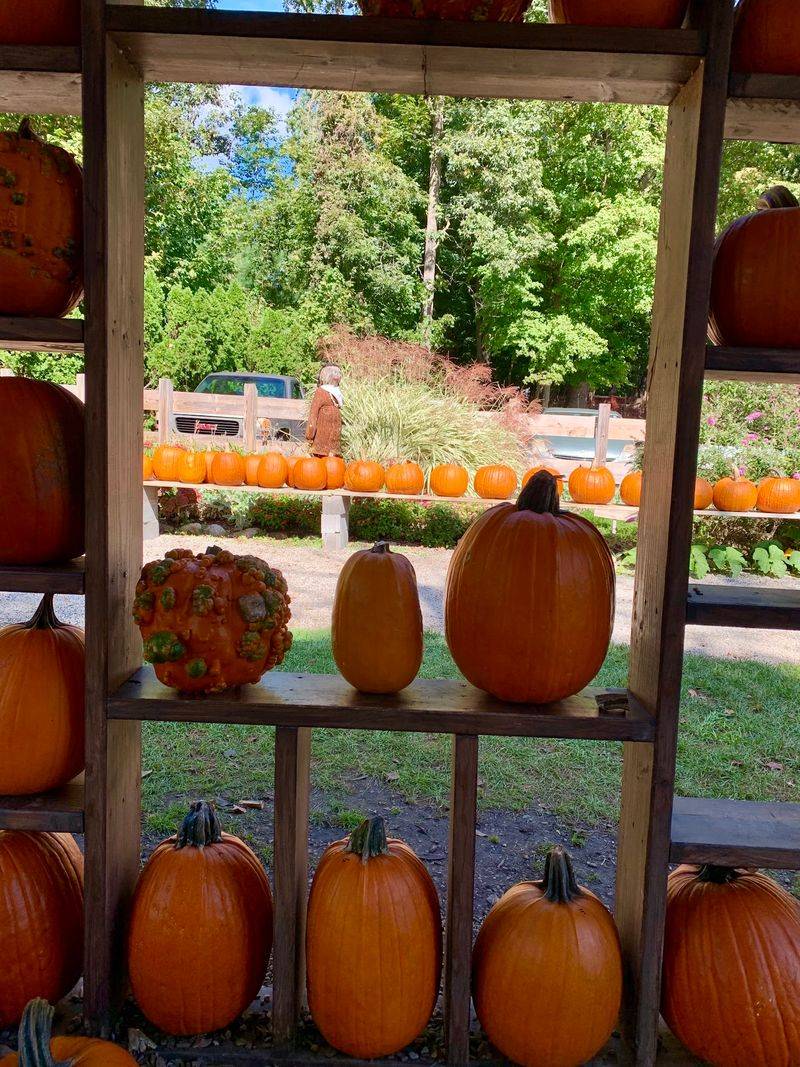 Seasonal Extras That Change The Visit Seasonal Extras That Change The Visit