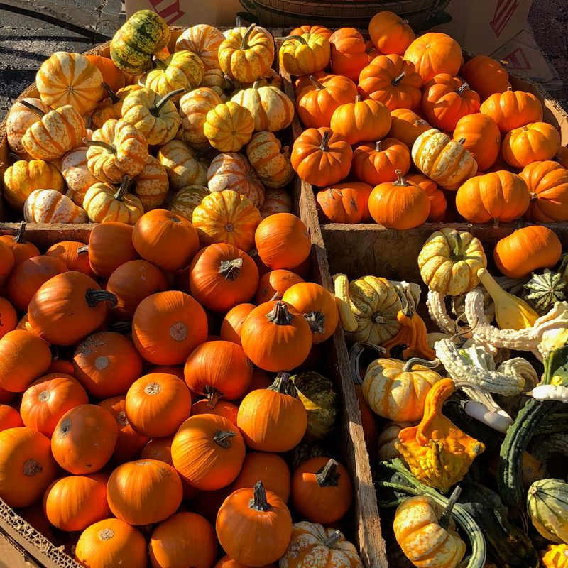 Seasonal Highlights: How the Market Changes From April to October Seasonal Highlights: How the Market Changes From April to October