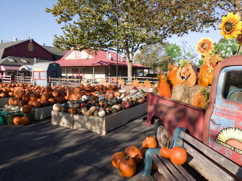 Seasonal Picking Beyond Apples