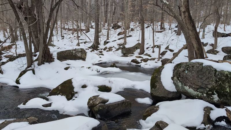Seasonal Rhythms and the Best Times to Visit Seasonal Rhythms and the Best Times to Visit